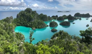 UNESCO Biosphere Reserves 2025: The Largest Expansion in Two Decades