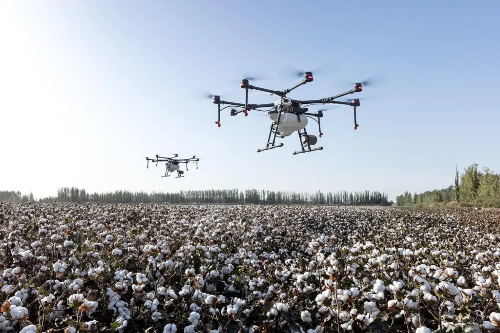 Drones flying over a cotton field