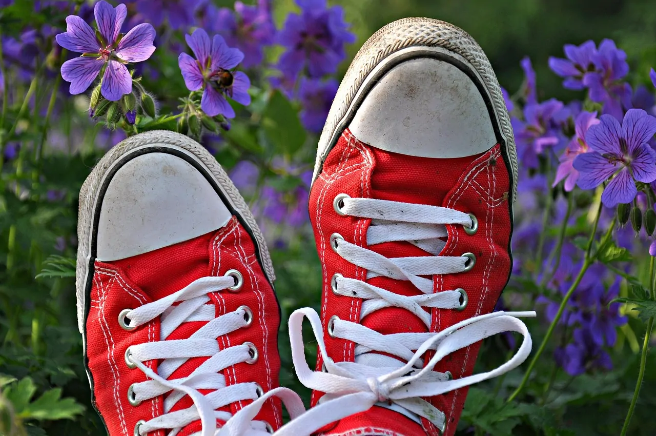 Red canvas sneakers resting among purple garden flowers